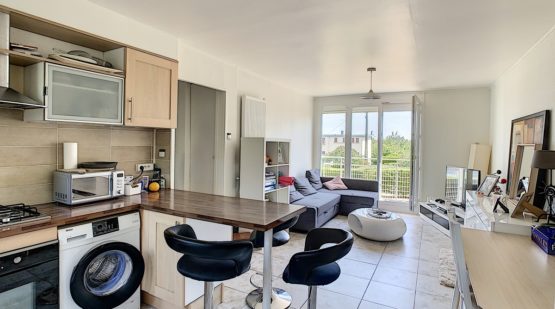 Vente appartement T5 rénové 4 chambres - Moret-sur-loing - Effectimmo