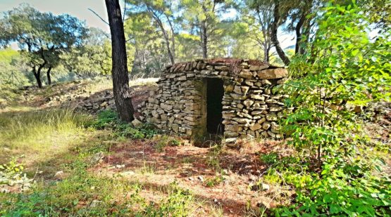 Vente terrain plat et boisé 9140m2 le beausset - Effectimmo