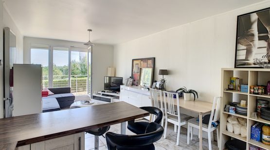 Vente appartement T5 rénové 4 chambres - Moret-sur-loing - Effectimmo