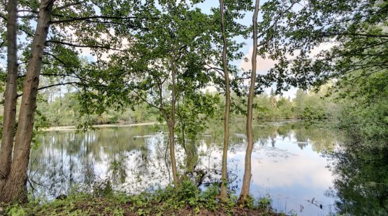 Vente terrain boisé 19689m2 zone naturelle Pernant - Effectimmo