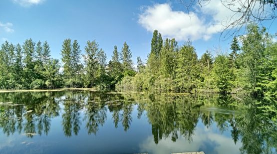 Vente terrain boisé 19689m2 zone naturelle Pernant - Effectimmo