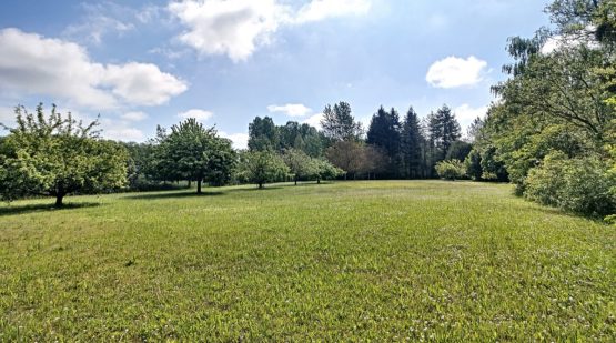 Vente terrain boisé 19689m2 zone naturelle Pernant - Effectimmo