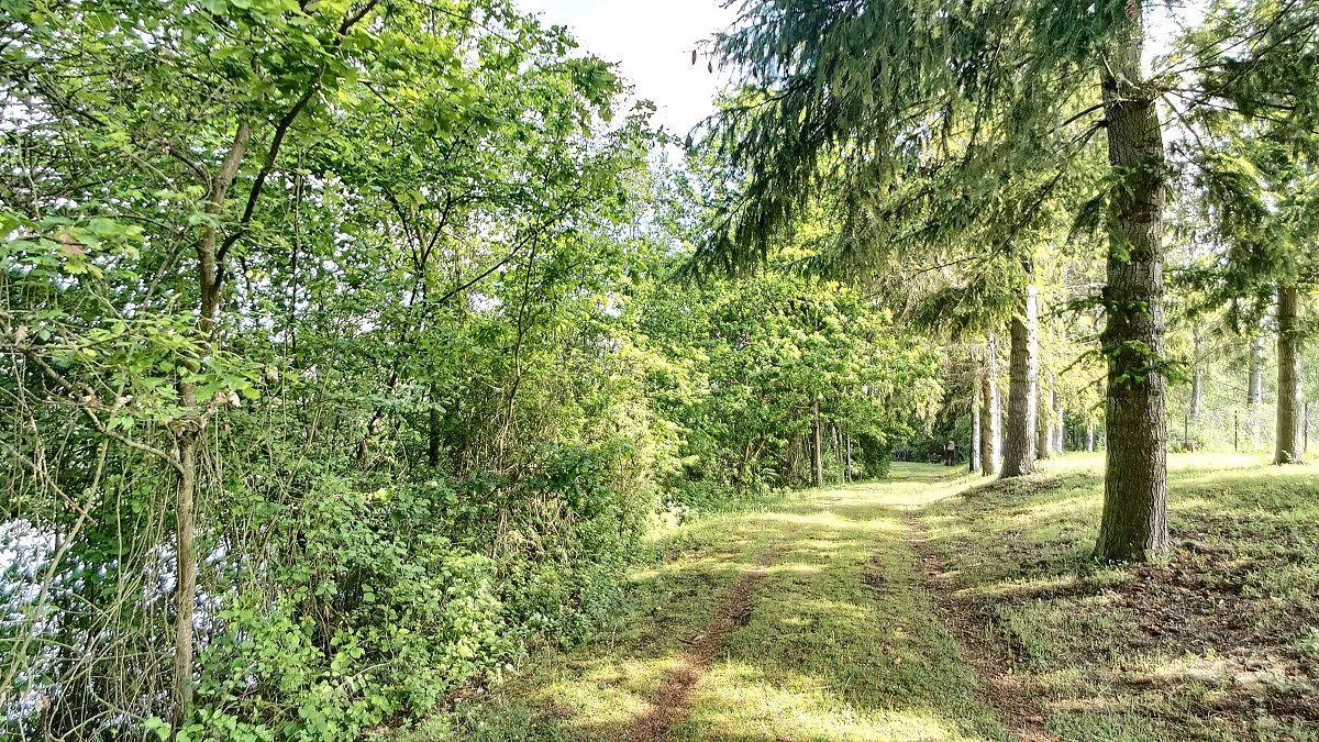 Beau terrain boisé de 19689 m2, au calme d’une Zone Naturelle, avec étang de pêche et arbres fruitiers.