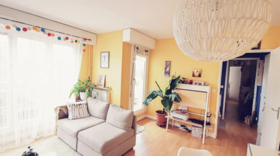 Vente appartement 2 pièces avec balcon Choisy-le-roi - Effectimmo