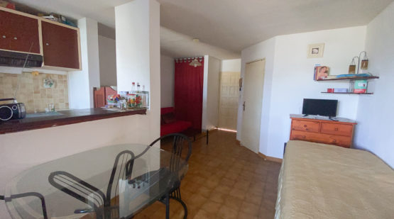 Vente studio 24m2 rez-de-jardin avec loggia schoelcher- Effectimmo
