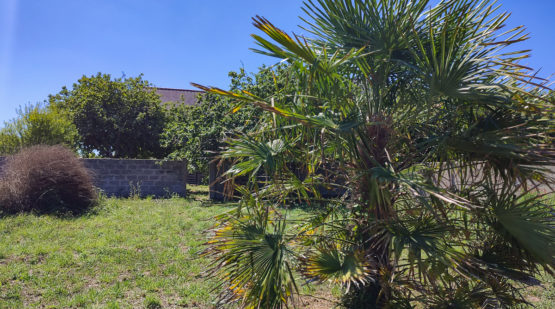 Vente maison en pierre 93m2 Cap Sizun Plogoff - Effectimmo