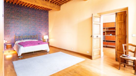 Vente maison 400m2 terrain constructible 2409m2 Gard - Effectimmo