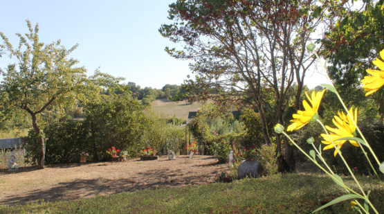 Vente maison sur terrain de 1482m2 chalonnes sur Loire - Effectimmo Vente maison sur terrain de 1482m2 chalonnes sur Loire - Effectimmo