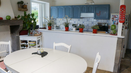 Vente maison + pavillon piscine dépendances 3541m20 terrain Vinzelles - Effectimmo