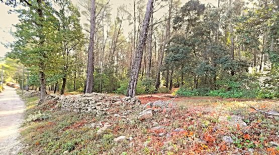 Vente terrain plat et boisé 9140m2 le beausset - Effectimmo