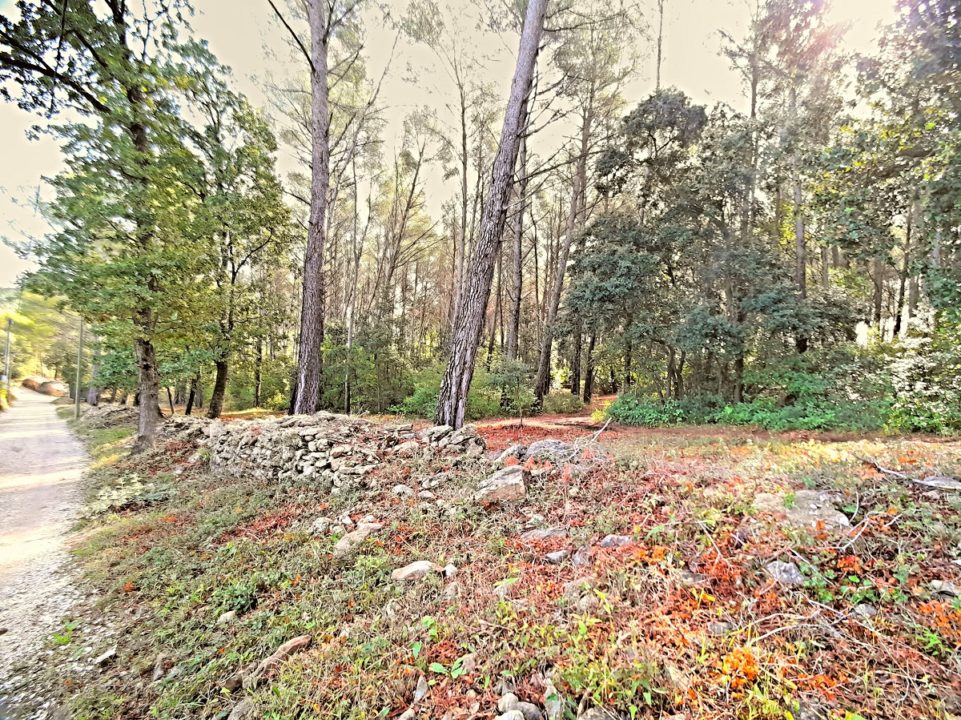 Vaste terrain plat et boisé de 9140 m2, au calme en Zone Naturelle, avec accès facile en voiture.