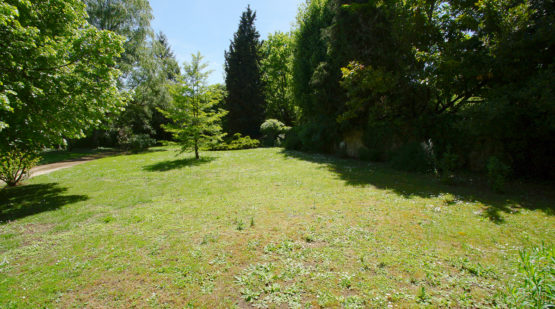 Vente terrain de 1524m2 Montigny-sur-Loing - Effectimmo Vente terrain de 1524m2 Montigny-sur-Loing - Effectimmo