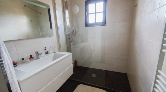 Vente maison familiale sur sous-sol total Châtelet-en-Brie - Effectimmo