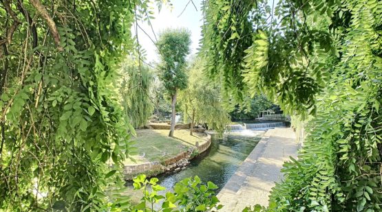 Vente maison de caractère fort potentiel Moret-sur-Loing - Effectimmo